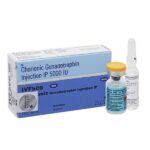 IVFhCG 5000 (HCG (Human Chorionic Gonadotropin))